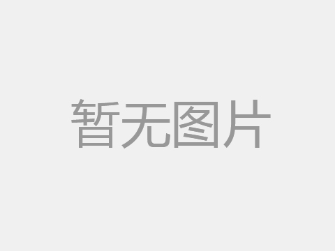 G5223-2單晶硅雙頭帶鋸床